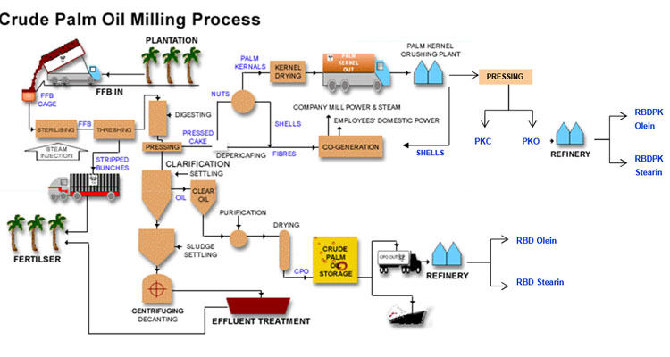 crude palm oil process chart